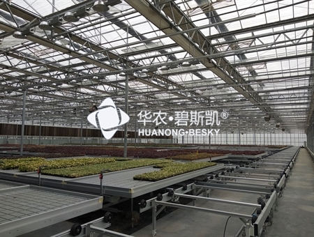 上海花卉种苗育苗温室项目